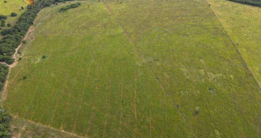 Fazenda com gestão eficiente do rebanho, à venda, 240 hectares por r$ 6.000.000 - zona rural - dom aquino/mt
