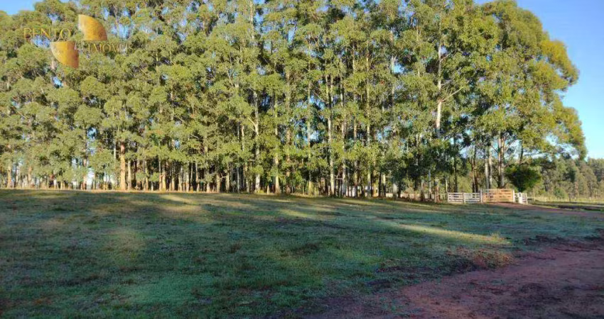 Fazenda à venda, 875 hectares por r$ 35.000.000 - centro - pedras altas/rio grande do sul