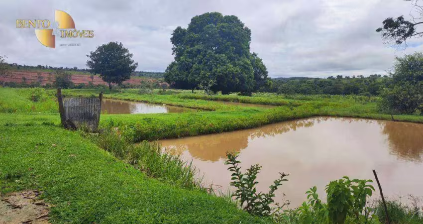 Manejo ecológico para criação, à venda, 291 hectares por r$ 2.000.000 - zona rural - tesouro/mt