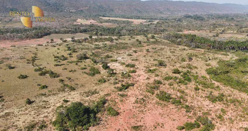 Fazenda à venda, 600 hectares por r$ 11.000.000 - zona rural - nova mutum/mt