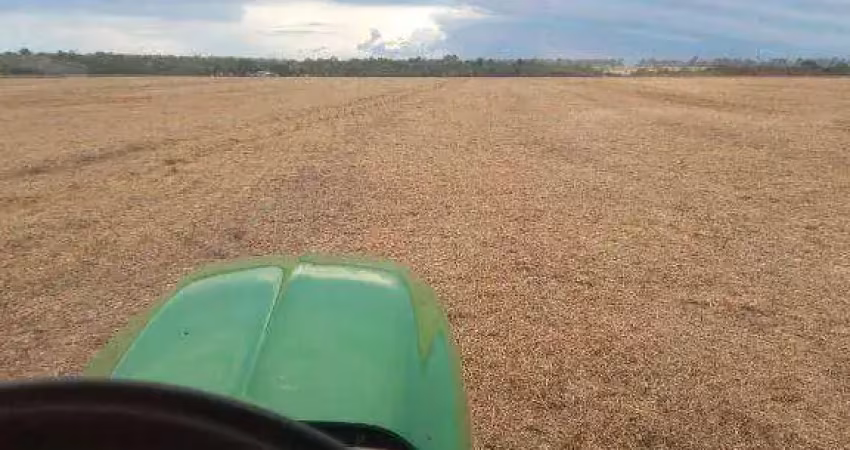 Fazenda à venda, 254 hectares por r$ 14.000.000 - zona rural - marcelândia/mt