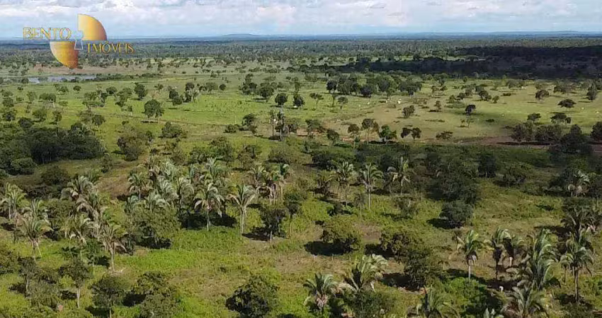Fazenda à venda, 1300 hectares por r$ 38.000.000 - zona rural - cuiabá/mt