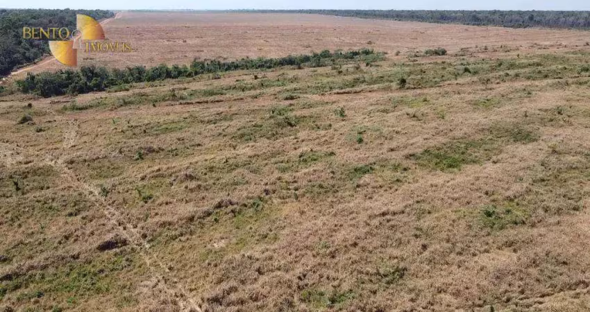 Fazenda com tradição em qualidade, à venda, 980 hectares por r$ 99.000 - zona rural - nova maringá/mt