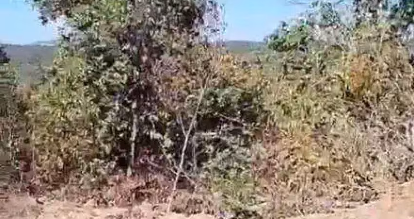 Fazenda à venda, 2400 hectares por r$ 15.000.000 - zona rural - jaciara/mt