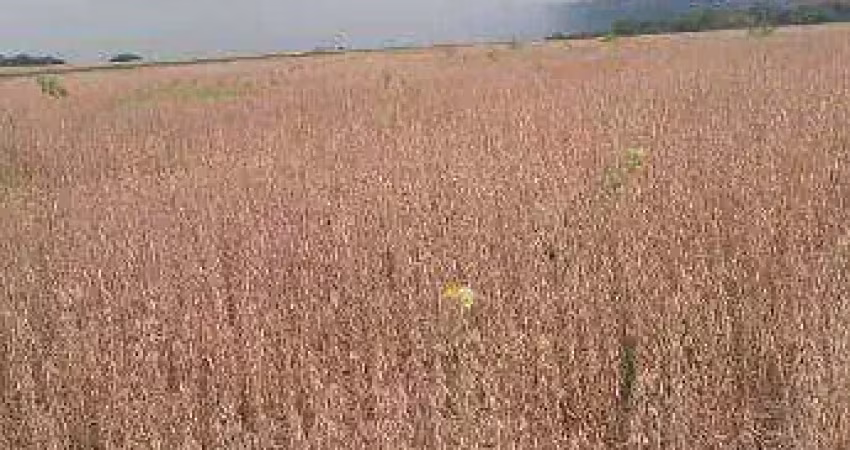 Fazenda à venda, 212 hectares por r$ 10.494.000 - zona rural - rondonópolis/mt