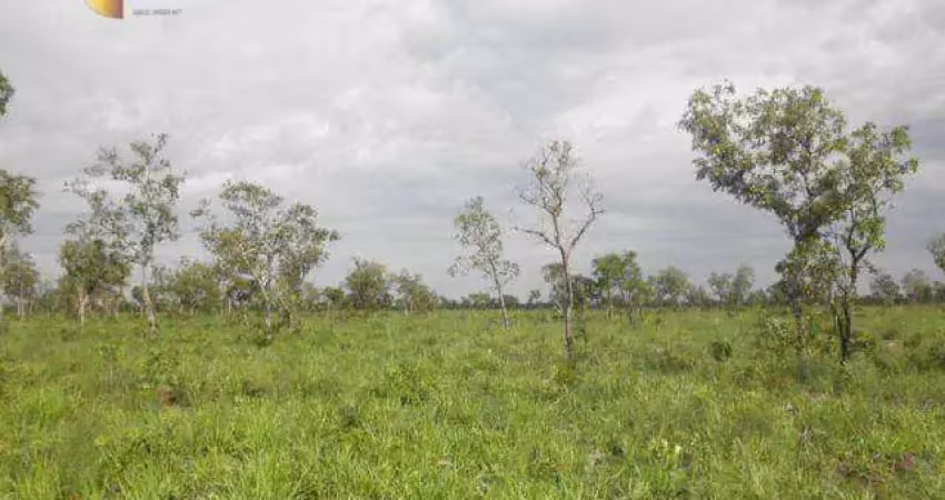 Fazenda à venda, 5000 hectares por r$ 50.000.000 - zona rural - são felix do araguaia/mt