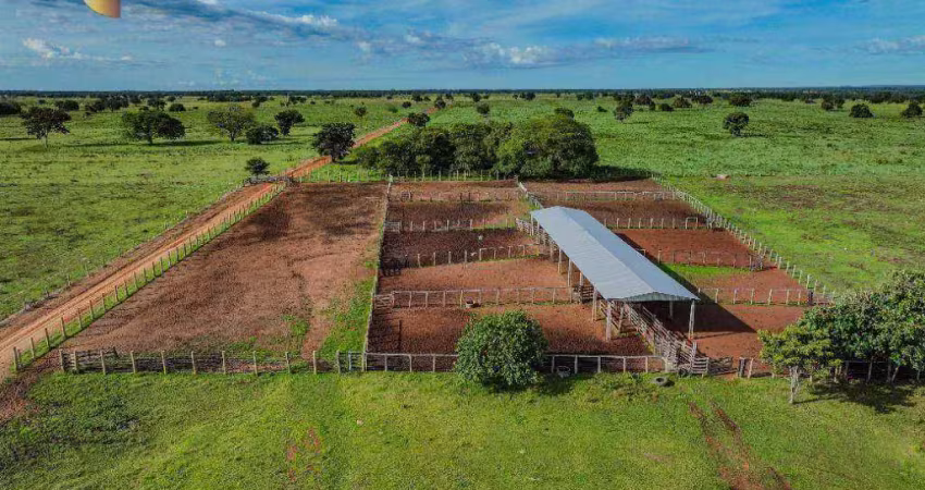 Fazenda à venda, 8700 hectares por r$ 100.000.000 - zona rural - são felix do araguaia/mt