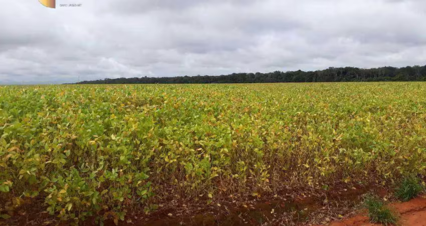 Fazenda à venda, 3800 hectares por r$ 200.000.000 - zona rural - juina/mt