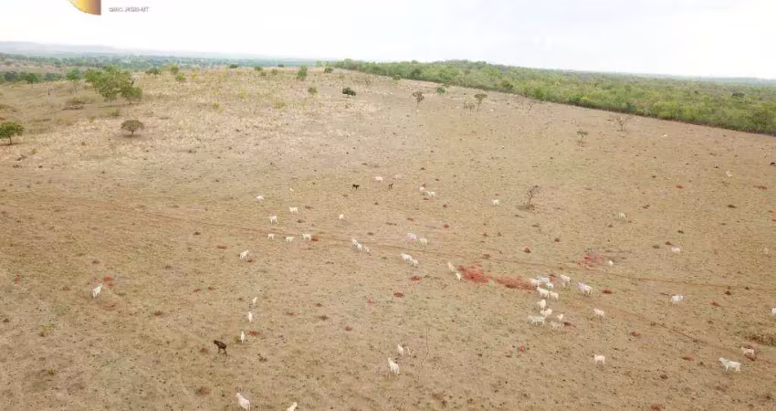Fazenda à venda, 550 hectares por r$ 18.000.000 - zona rural - novo são joaquim/mt
