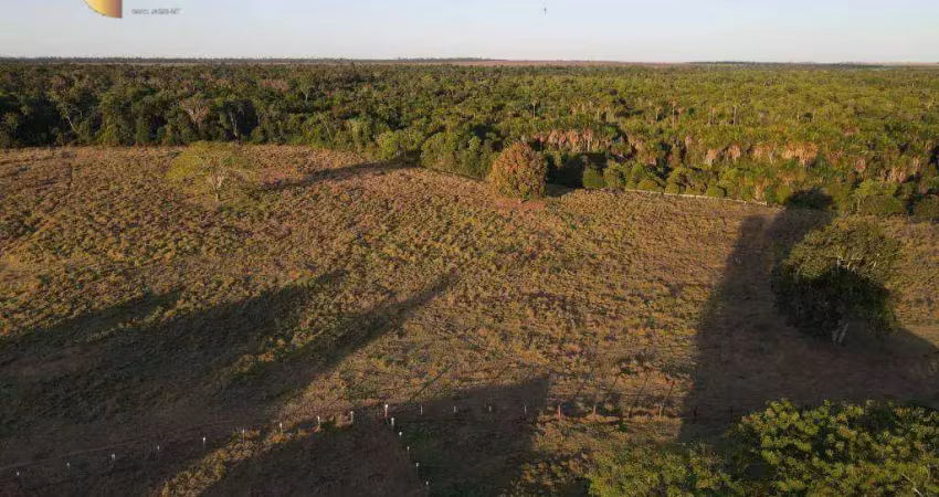 Fazenda à venda, 15230000 m² por r$ 100.000.000,00 - zona rural - marcelândia/mt