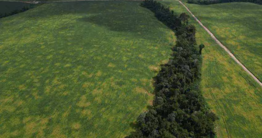 Fazenda à venda, 4384,90 hectares por r$ 150.000.000 - zona rural - novo progresso/pa