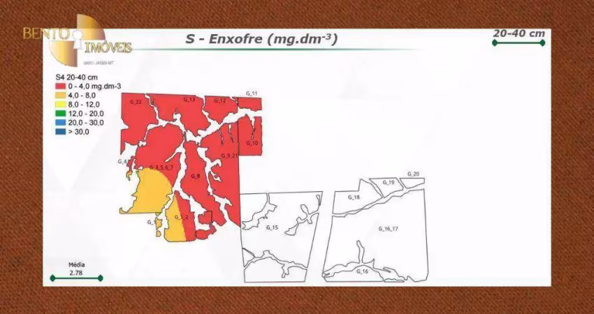 Fazenda dupla aptidão: fazenda ideal para agricultura e pecuária, à venda, 42360000 m² por r$ 149.000.000 - zona rural - santa terezinha/mt