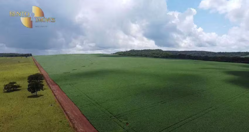 Fazenda à venda, 13497100 m² por r$ 80.000.000,00 - zona rural - primavera do leste/mt