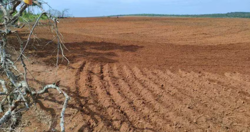 Fazenda à venda, 5200 hectares por r$ 80.000.000 - zona rural - paranatinga/mt