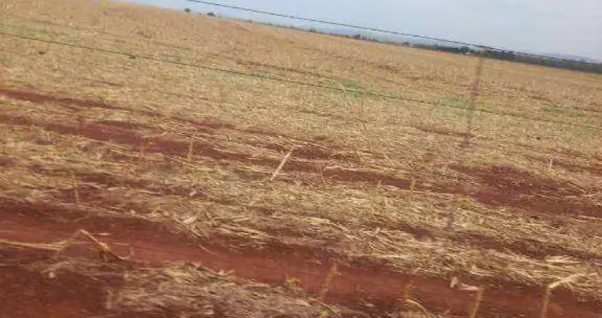 Fazenda à venda na Zona Rural, Torixoréu 