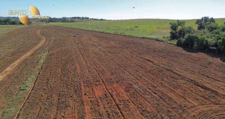Fazenda à venda, 5510252 m² por r$ 18.000.000,00 - zona rural - tesouro/mt