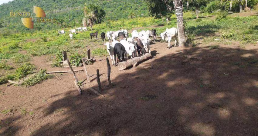 Fazenda à venda, 11850000 m² por r$ 19.500.000,00 - zona rural - torixoréu/mt