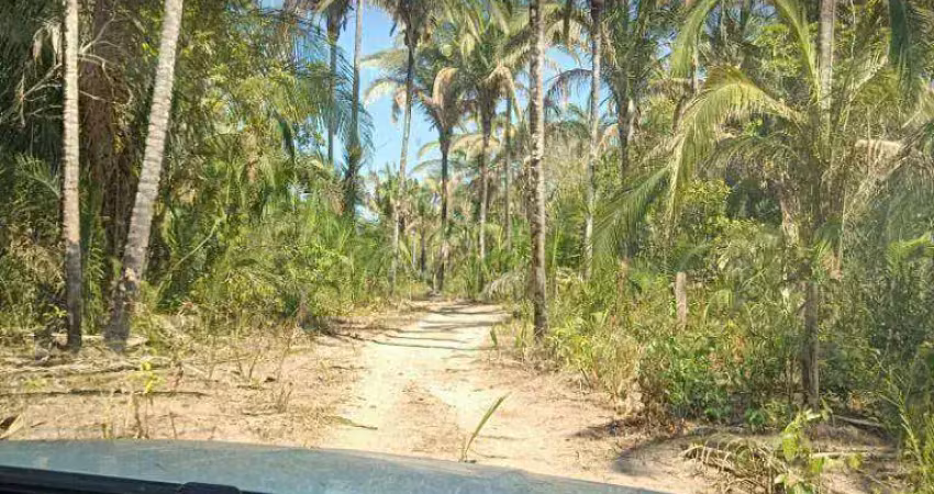Fazenda à venda, 2000000 m² por r$ 4.000.000,00 - zona rural - santo antônio do leverger/mt