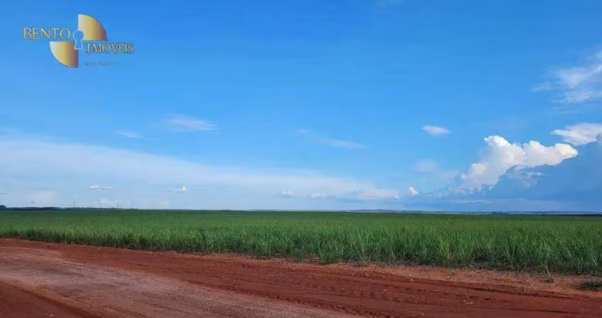 Fazenda à venda, 28080000 m² por r$ 92.000.000,00 - zona rural - mineiros/go