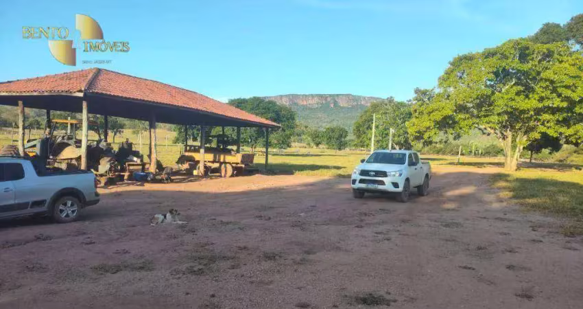 Fazenda à venda, 33620000 m² por r$ 51.000.000,00 - distrito vila aparecida - zona rural - cáceres/mt