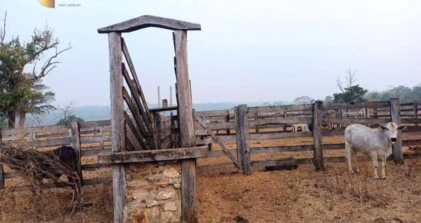 Fazenda à venda, 8920000 m² por r$ 13.500.000,00 - jardim mato grosso - rondonópolis/mt