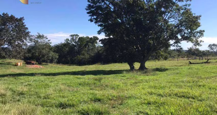 Fazenda à venda no Centro, Tesouro 