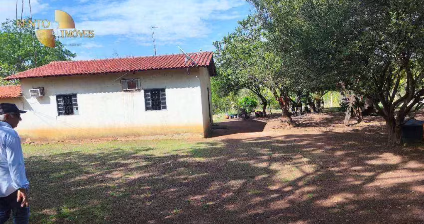 Fazenda à venda, 420000 m² por r$ 1.000.000,00 - zona rural - nossa senhora da guia (cuiabá)/mt - distrito/mt