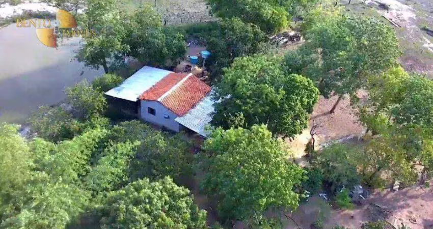 Fazenda à venda, 420000 m² por r$ 1.000.000,00 - zona rural - santo antônio do leverger/mt