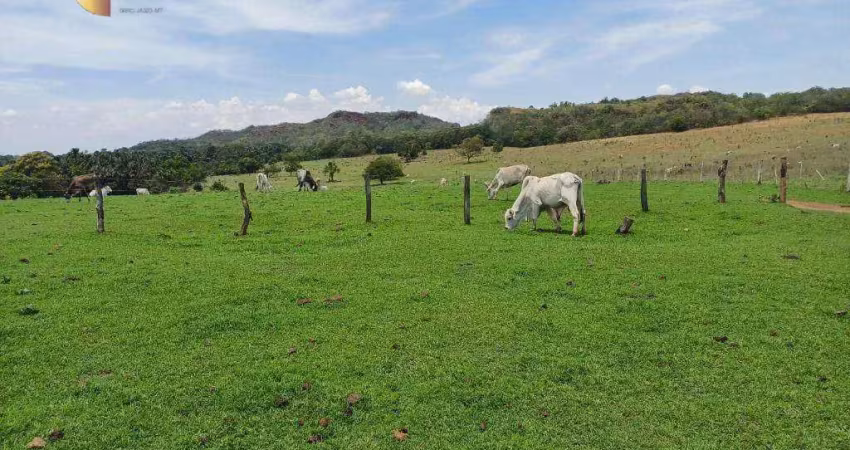Fazenda à venda, 7020000 m² por r$ 10.000.000,00 - zona rural - itiquira/mt