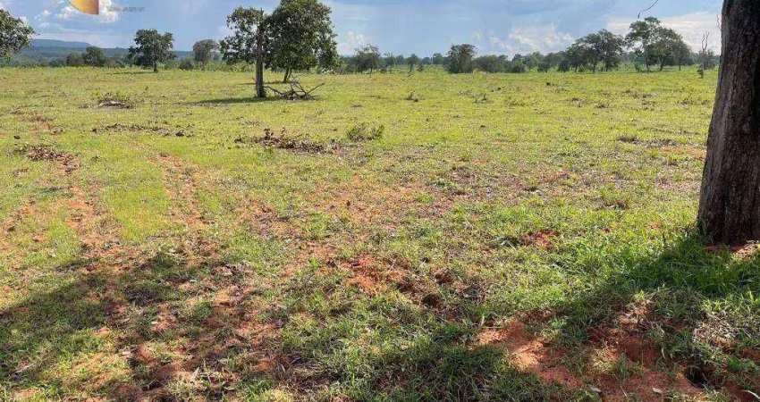 Fazenda à venda, 7300000 m² por r$ 10.000.000,00 - 256 - tesouro/mt