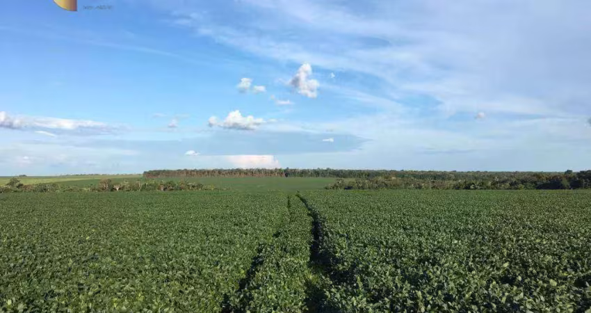Fazenda à venda, 3080000 m² por r$ 28.000.000,00 - zona rural - itauba/mt