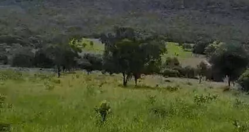 Fazenda à venda, 2640000 m² por r$ 7.500.000,00 - zona rural - cáceres/mt