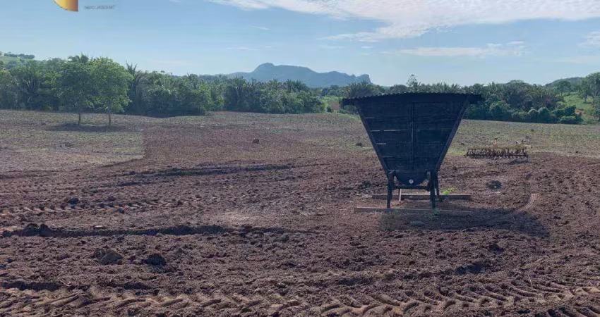 Fazenda à venda, 605000 m² por r$ 3.000.000,00 - zona rural - rondonópolis/mt