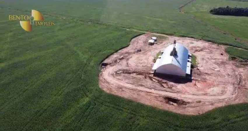 '*agricultura de ponta:* fazenda com inovações em cultivo.'