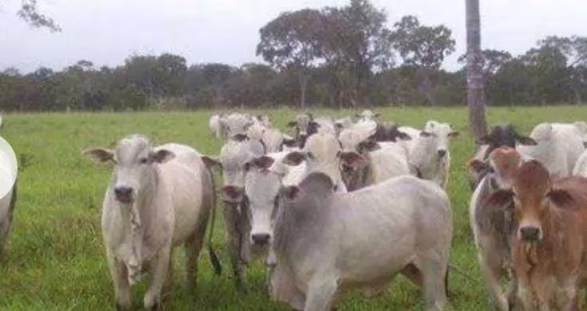 Fazenda com 2 dormitórios à venda, 4380000 m² por r$ 5.000.000 - zona rural - poconé/mt