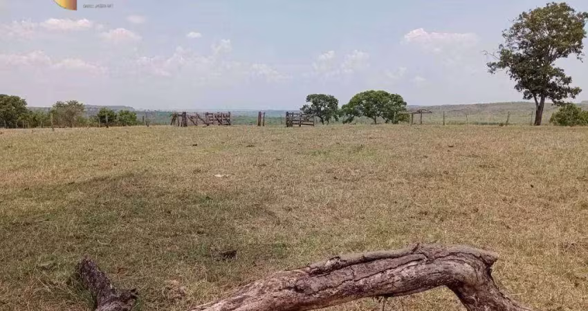 '*rebanho de sucesso:* fazenda com tradição em qualidade.'