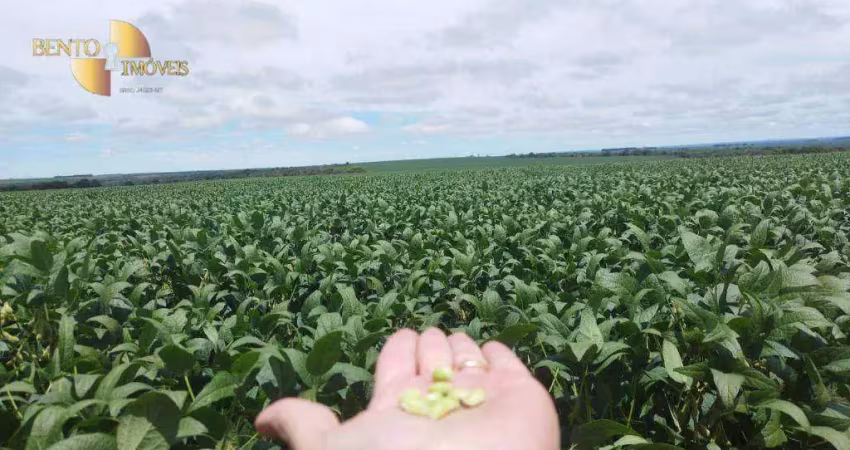 '*solo fértil:* terra pronta para plantio de alta produtividade.'