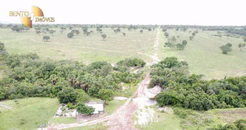 '*versatilidade no campo:* terra produtiva para cultivo e criação.'
