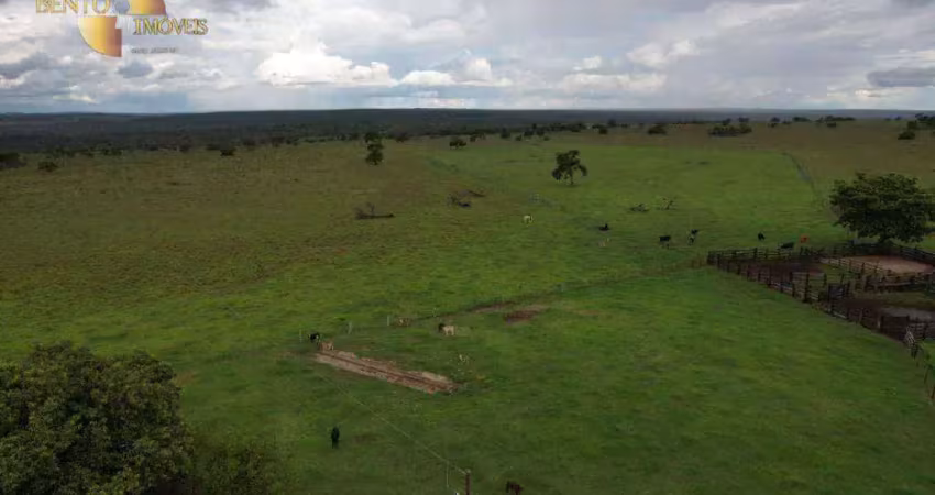 Agropecuária integrada:* fazenda com sistema de rotação eficaz