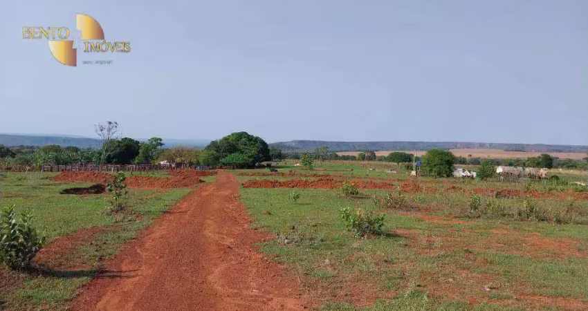 Investimento em gado:* fazenda com alta capacidade de suporte.