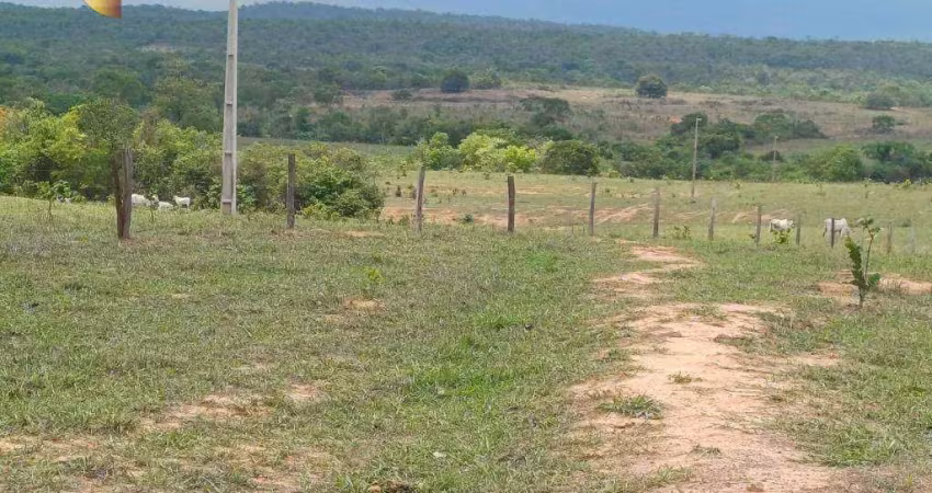 Solo fértil:* terra pronta para plantio de alta produtividade.