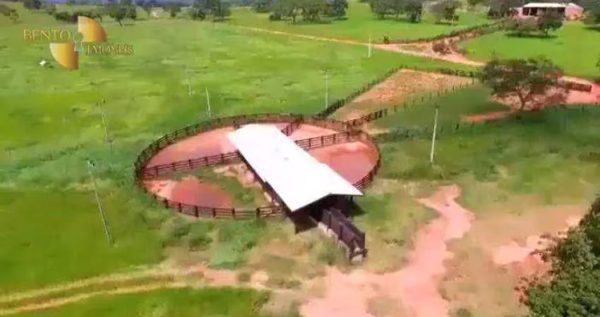 Fazenda à venda na Zona Rural, Pedra Preta 