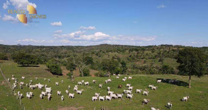 Fazenda à venda na Avenida dos Estudantes, Área Rural de Rondonópolis, Rondonópolis