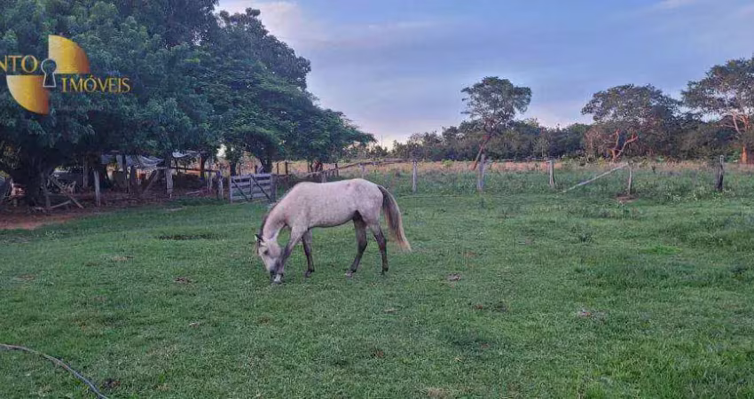 Fazenda à venda na Zona Rural, Novo São Joaquim 