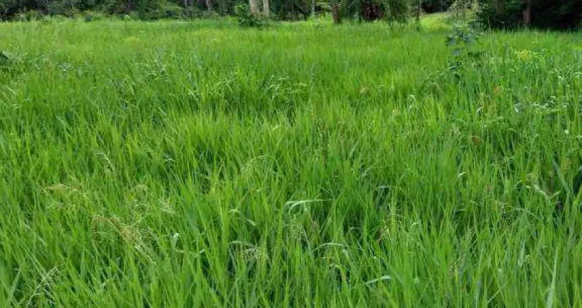 Fazenda à venda na Zona Rural, Poxoréu 