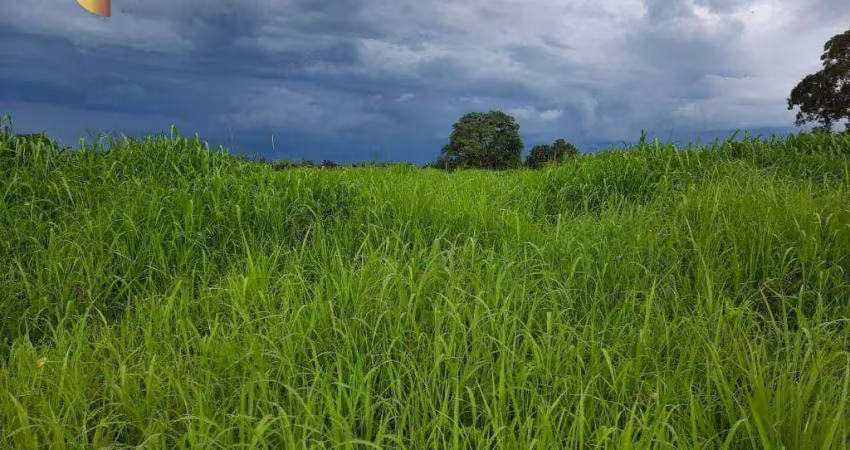 Fazenda à venda na Zona Rural, Nova Brasilândia 