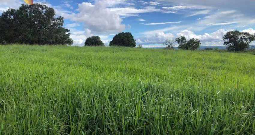 Fazenda à venda na Zona Rural, Guiratinga 