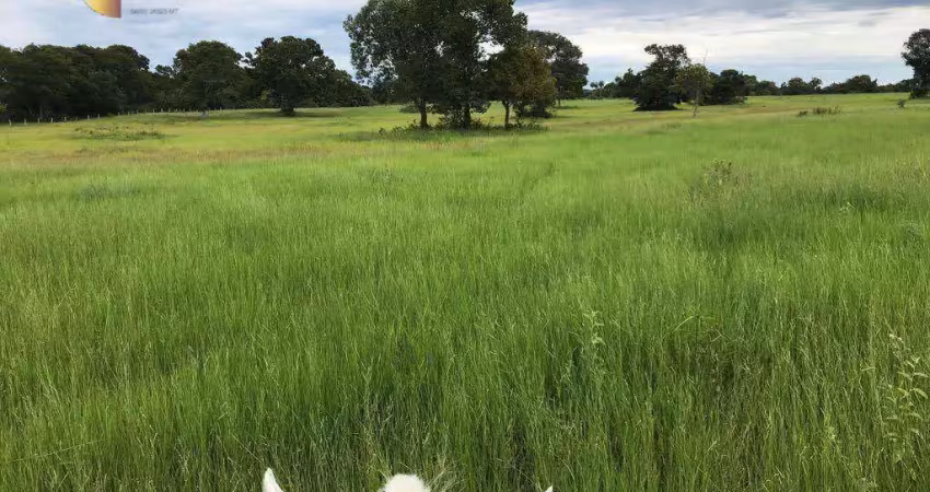 Fazenda com 1 dormitório à venda, 70000000 m² por r$ 50.000.000,00 - zona rural  - várzea grande/mt