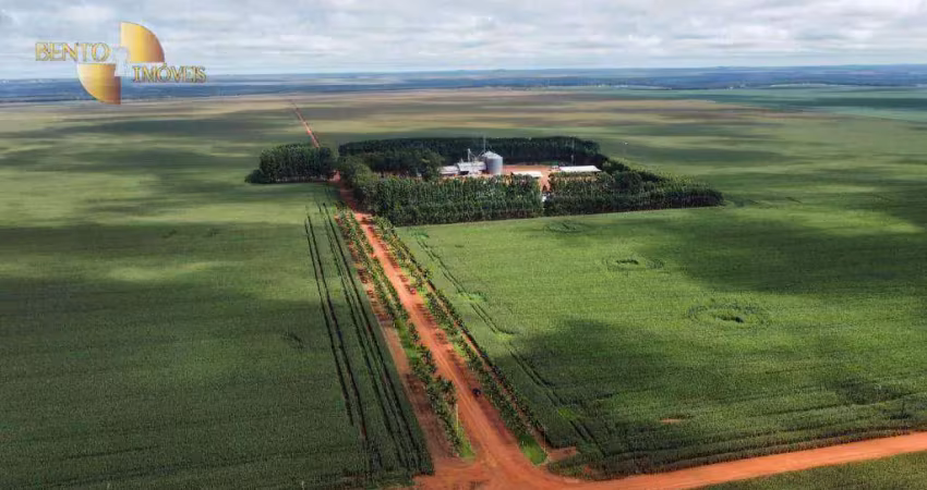 Fazenda à venda na Zona Rural, Campos de Júlio 