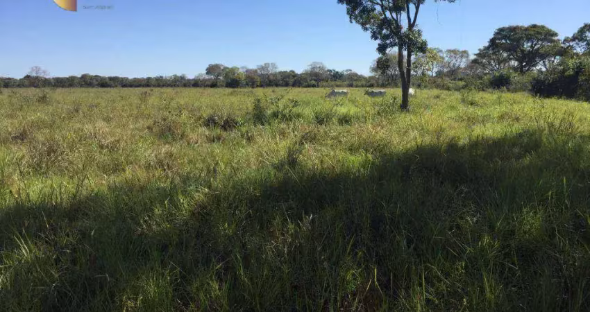 Fazenda à venda na Zona Rural, Santo Antônio do Leverger 